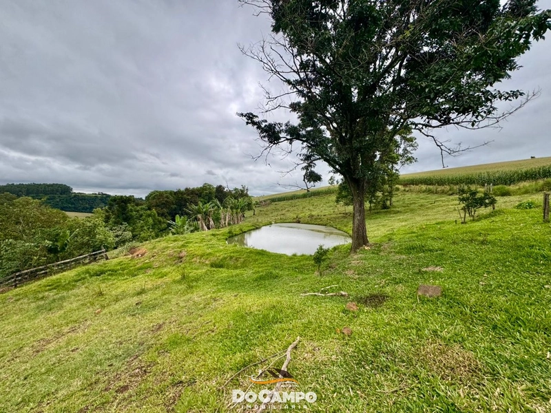 : 25ª foto da galeria de imagens do imóvel