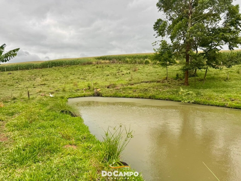 : 32ª foto da galeria de imagens do imóvel