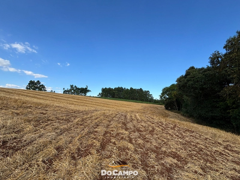 : 4ª foto da galeria de imagens do imóvel