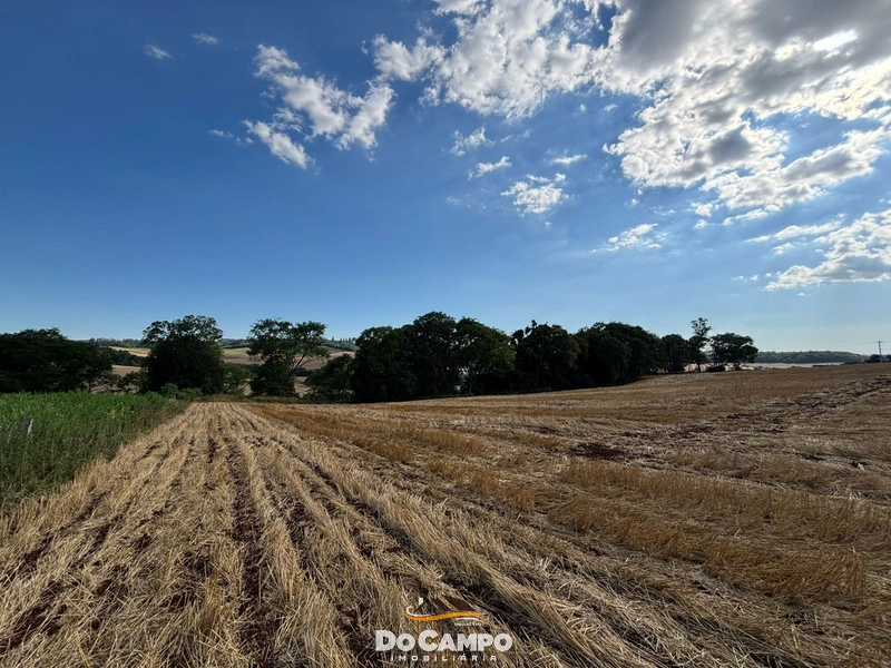 : 8ª foto da galeria de imagens do imóvel