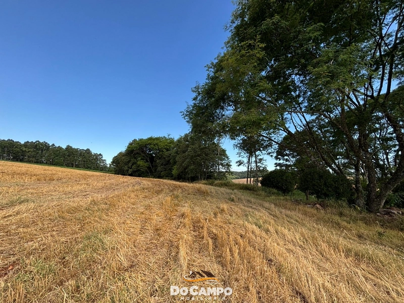 : 7ª foto da galeria de imagens do imóvel