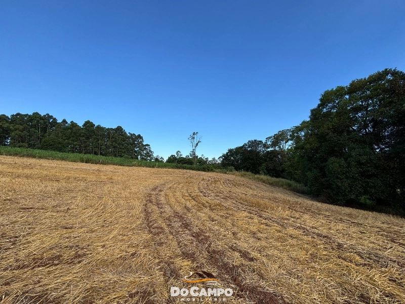 : 6ª foto da galeria de imagens do imóvel