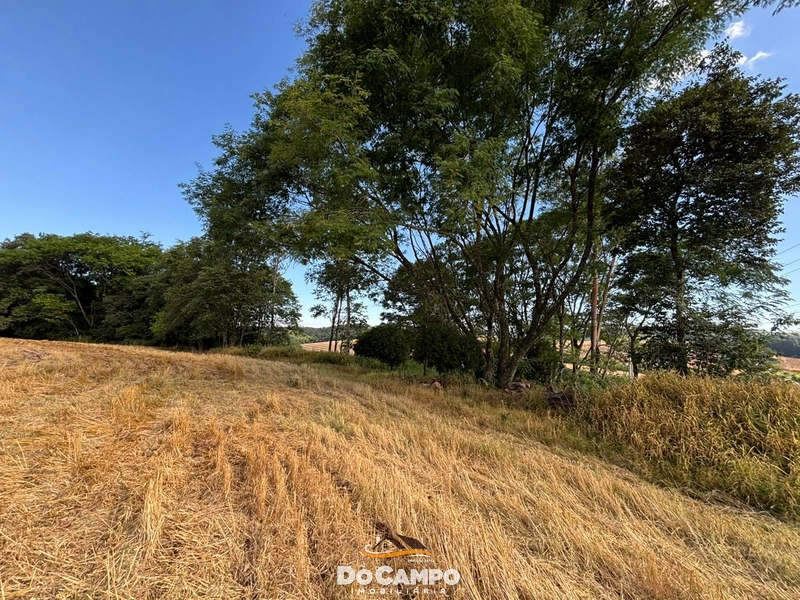 : 5ª foto da galeria de imagens do imóvel