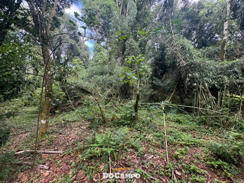 : 6ª foto da galeria de imagens do imóvel