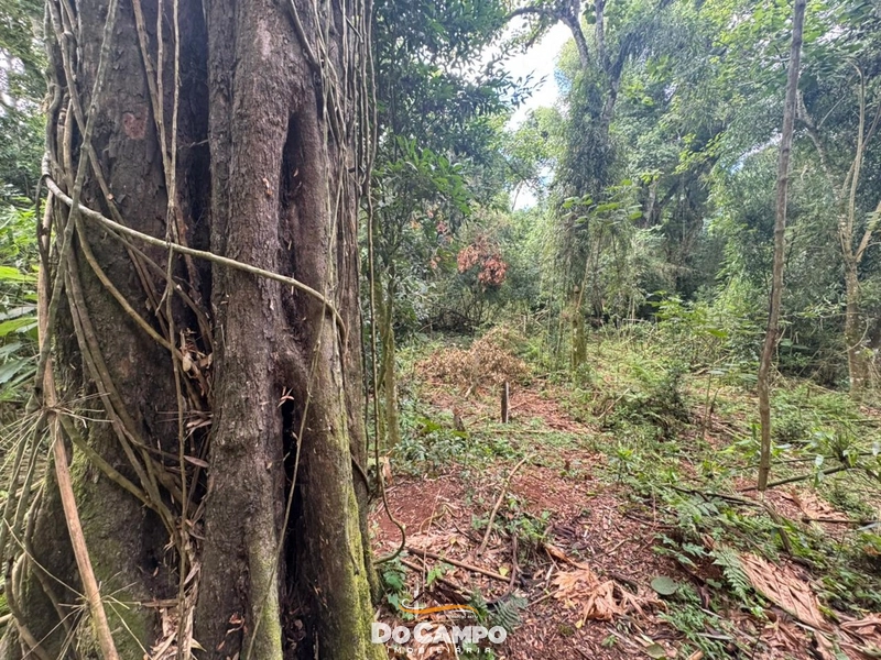 : 4ª foto da galeria de imagens do imóvel