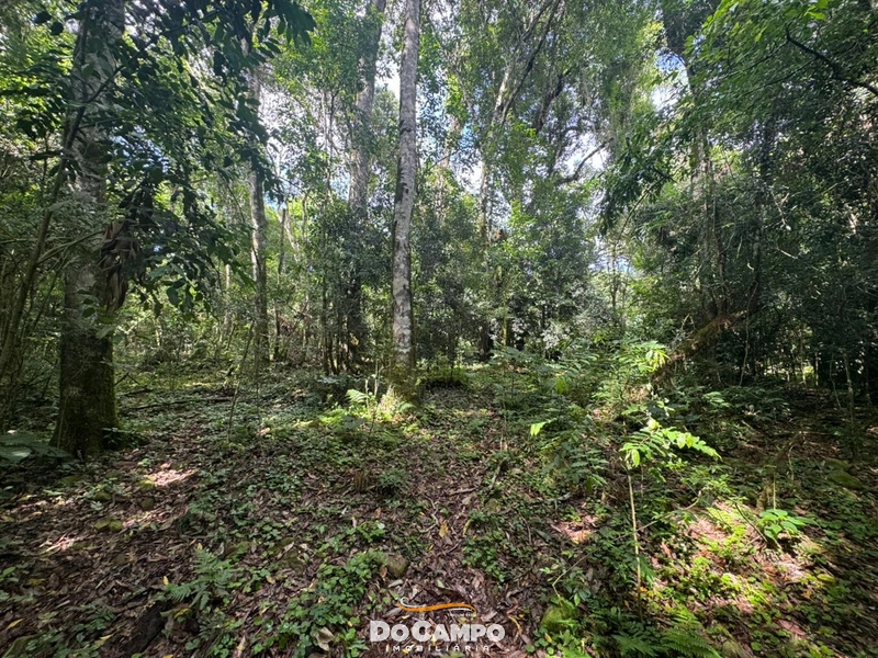 : 7ª foto da galeria de imagens do imóvel