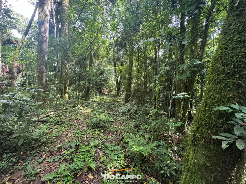 : 3ª foto da galeria de imagens do imóvel