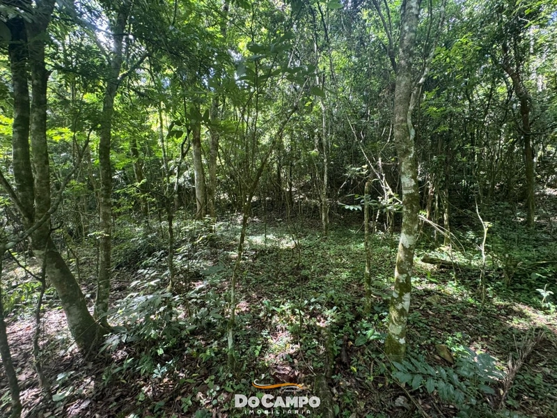 : 5ª foto da galeria de imagens do imóvel