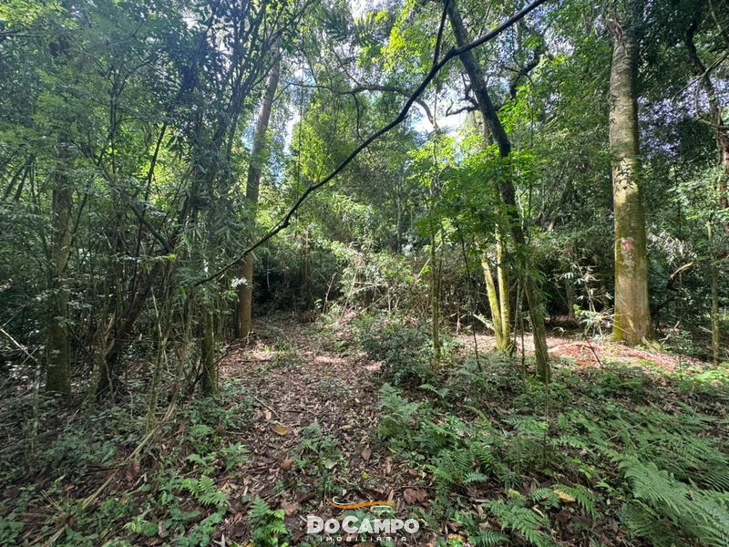 : 20ª foto da galeria de imagens do imóvel