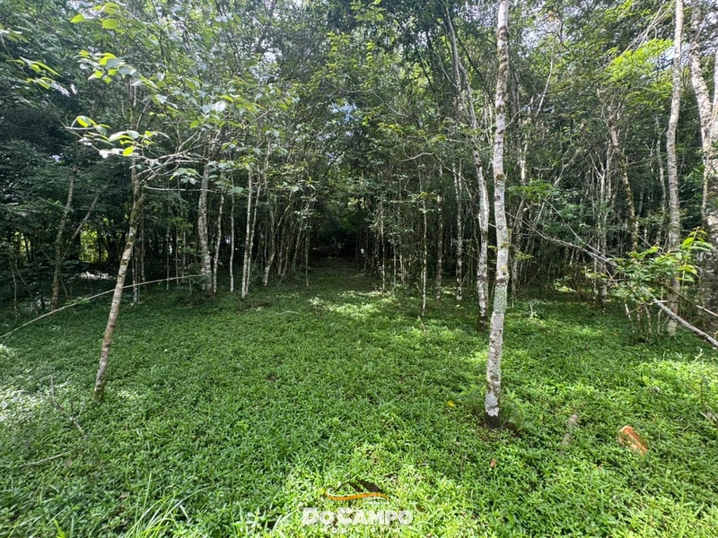 : 8ª foto da galeria de imagens do imóvel