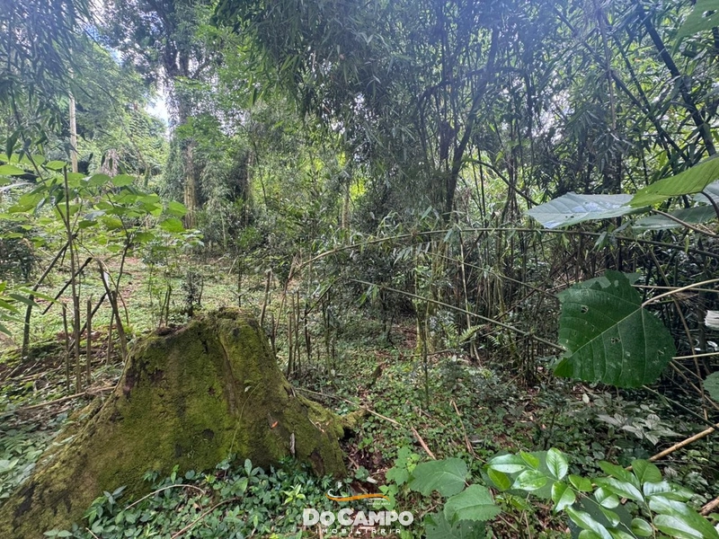 : 14ª foto da galeria de imagens do imóvel