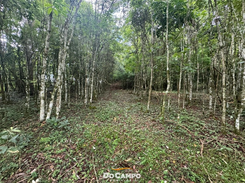 : 15ª foto da galeria de imagens do imóvel