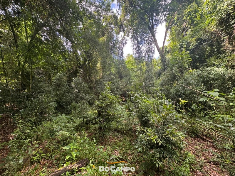 : 13ª foto da galeria de imagens do imóvel