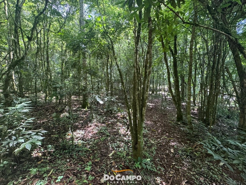 : 15ª foto da galeria de imagens do imóvel