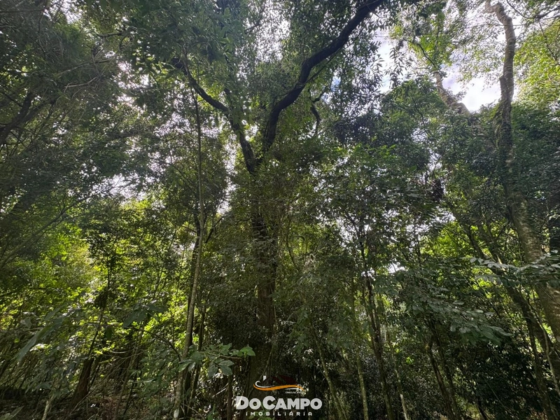 : 13ª foto da galeria de imagens do imóvel