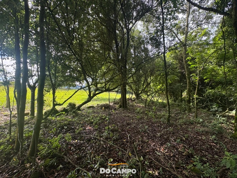 : 12ª foto da galeria de imagens do imóvel