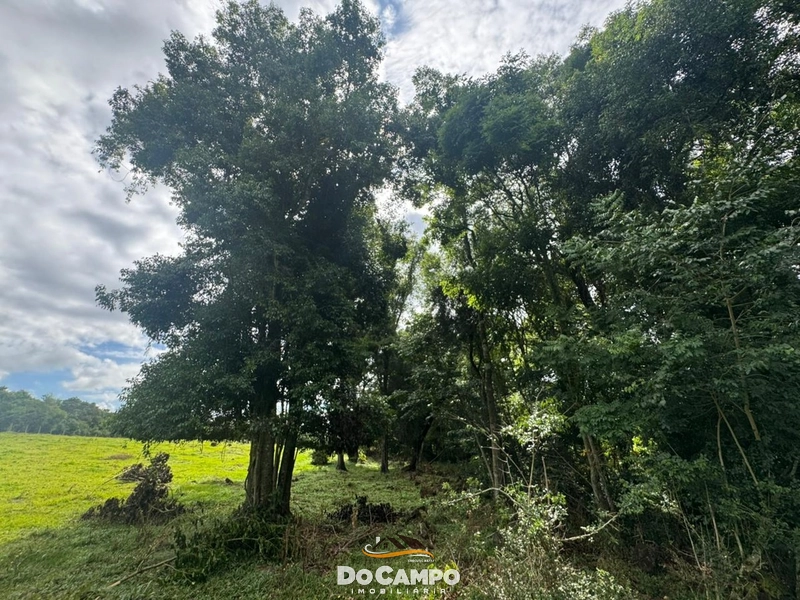 : 10ª foto da galeria de imagens do imóvel