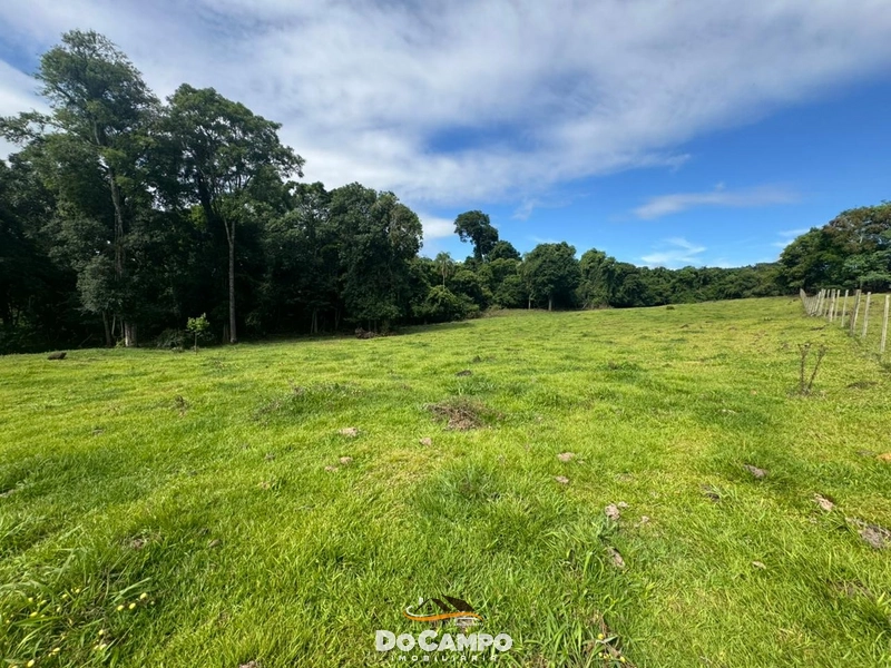 : 5ª foto da galeria de imagens do imóvel