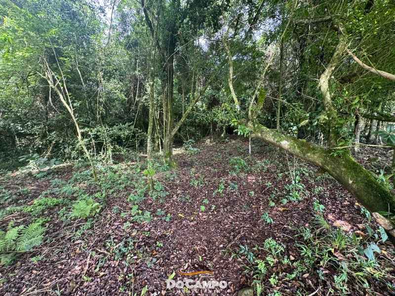 : 11ª foto da galeria de imagens do imóvel