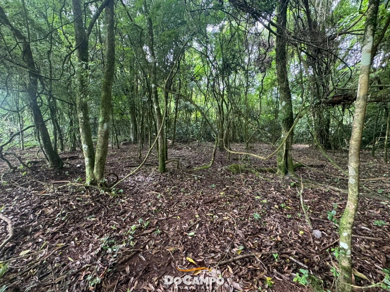 : 14ª foto da galeria de imagens do imóvel