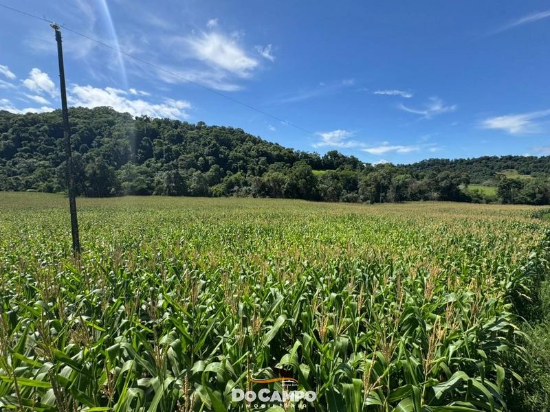 : 3ª foto da galeria de imagens do imóvel