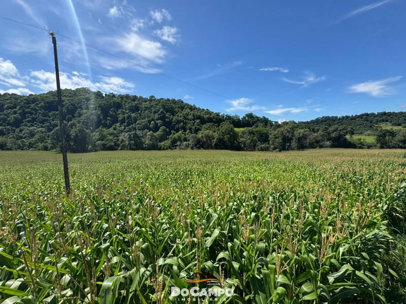 : 5ª foto da galeria de imagens do imóvel