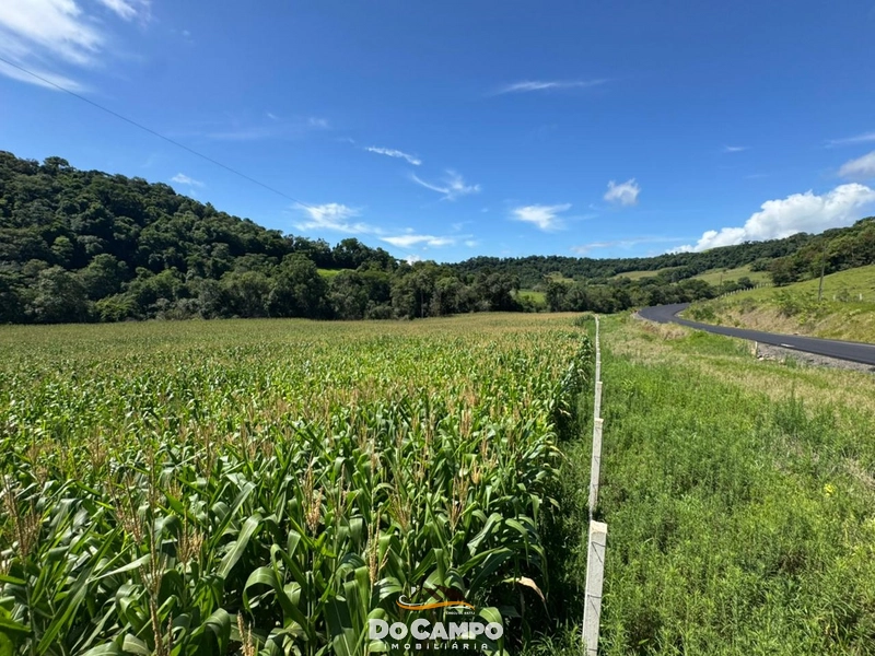 : 2ª foto da galeria de imagens do imóvel