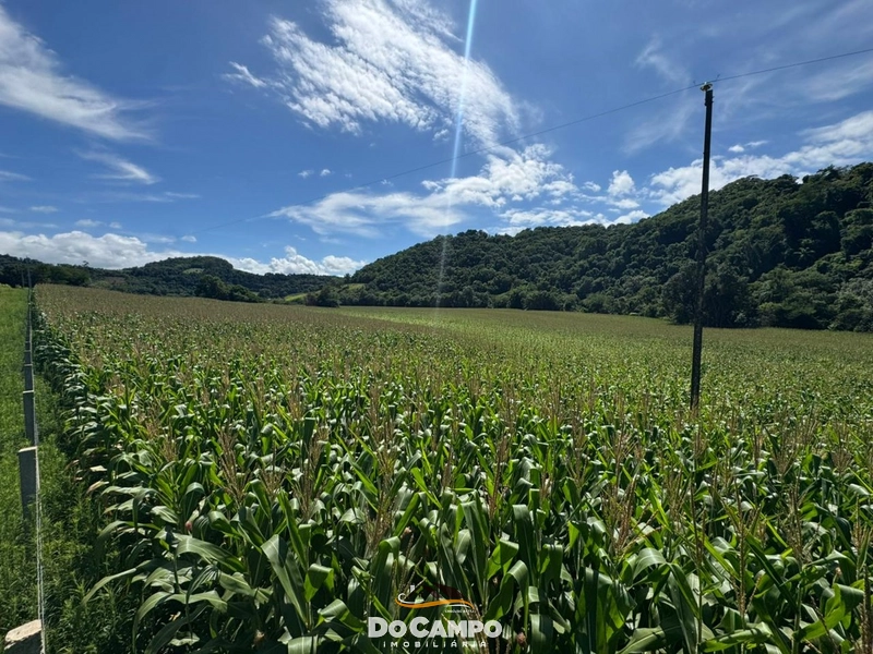 : 4ª foto da galeria de imagens do imóvel