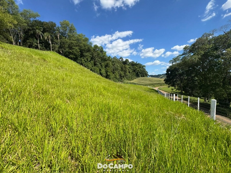 : 14ª foto da galeria de imagens do imóvel