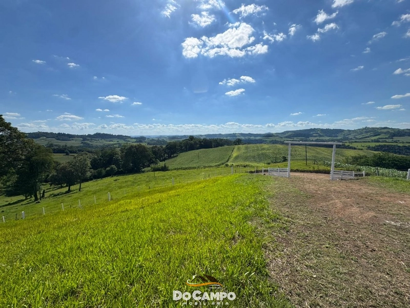 : 12ª foto da galeria de imagens do imóvel