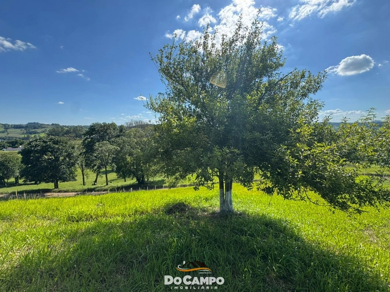 : 18ª foto da galeria de imagens do imóvel