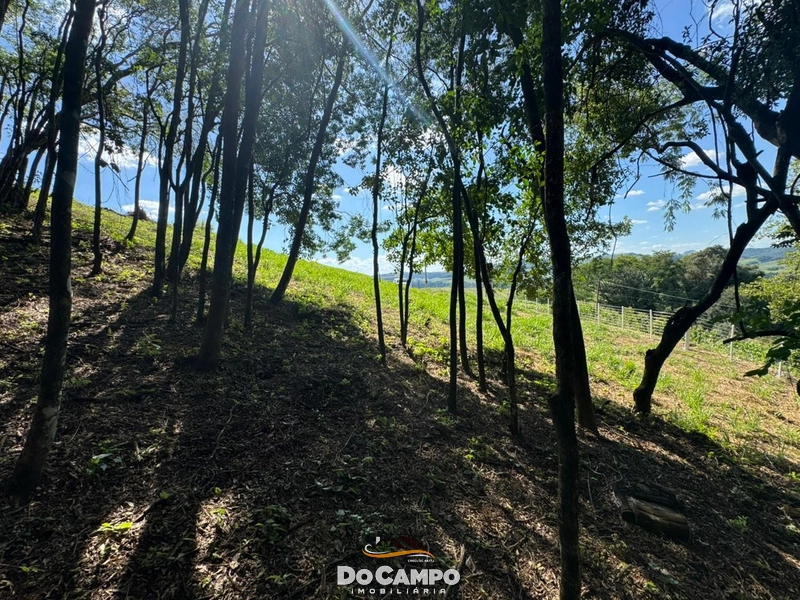 : 32ª foto da galeria de imagens do imóvel