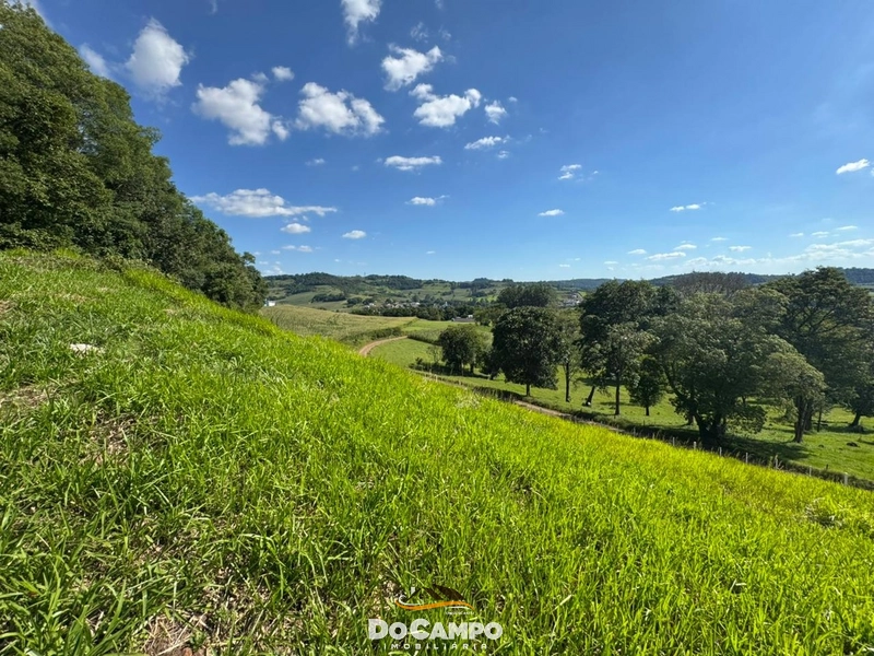 : 22ª foto da galeria de imagens do imóvel