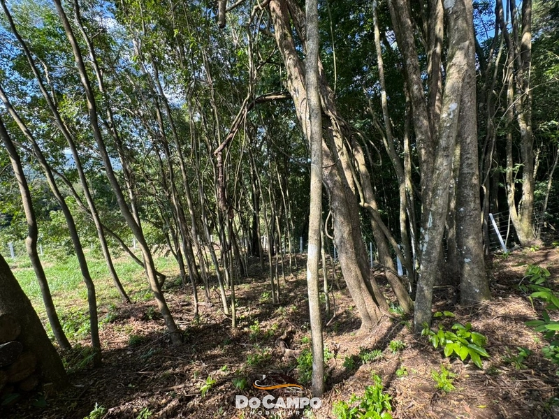 : 33ª foto da galeria de imagens do imóvel