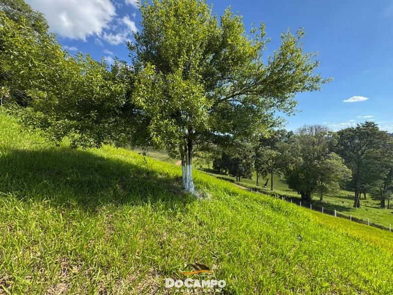 : 20ª foto da galeria de imagens do imóvel