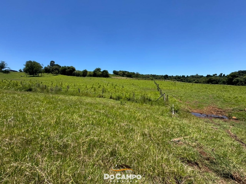 : 25ª foto da galeria de imagens do imóvel