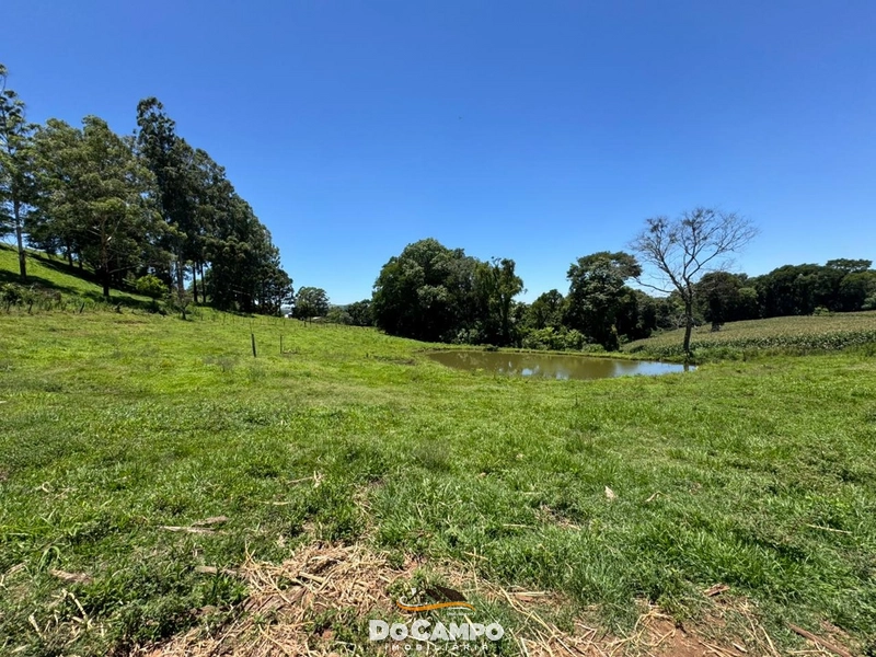 : 20ª foto da galeria de imagens do imóvel