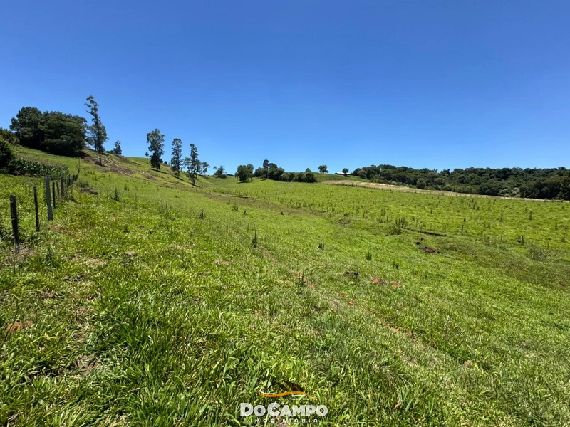 : 36ª foto da galeria de imagens do imóvel