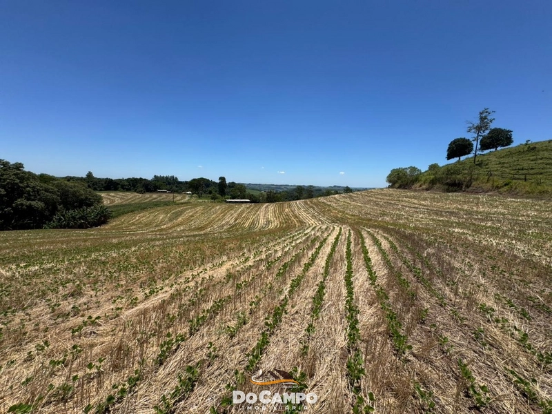 : 33ª foto da galeria de imagens do imóvel