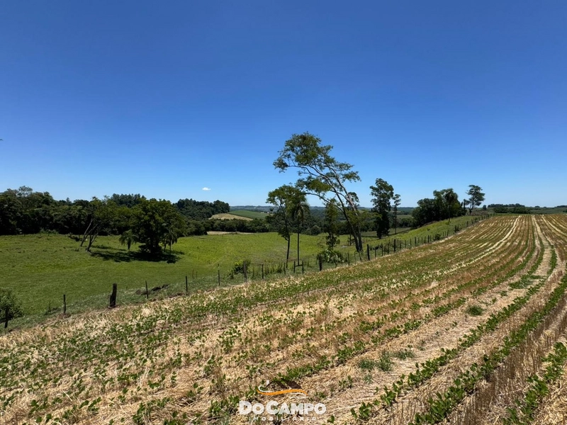 : 30ª foto da galeria de imagens do imóvel