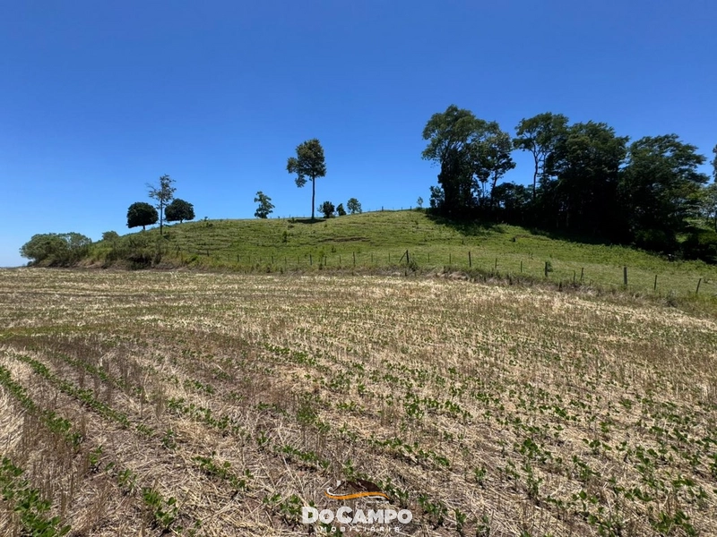 : 23ª foto da galeria de imagens do imóvel