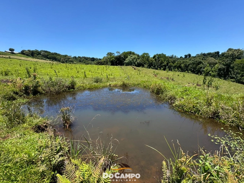 : 37ª foto da galeria de imagens do imóvel