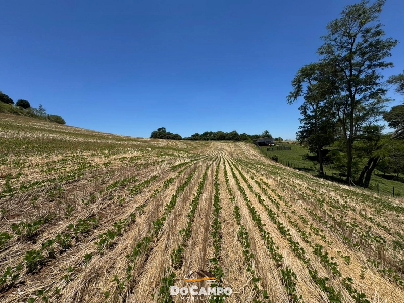 : 35ª foto da galeria de imagens do imóvel