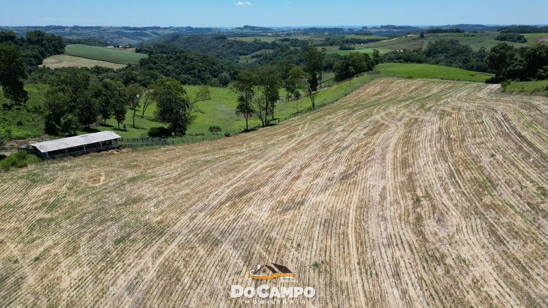 : 38ª foto da galeria de imagens do imóvel