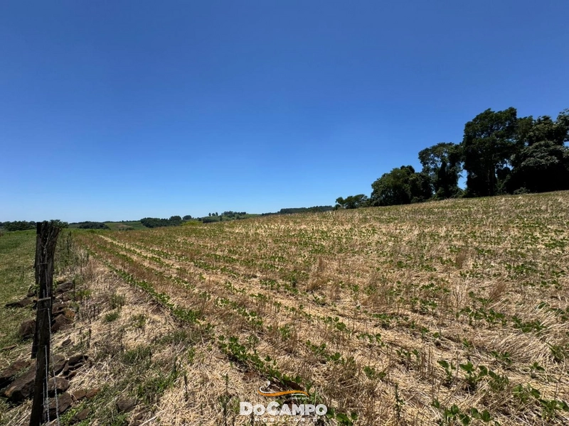 : 32ª foto da galeria de imagens do imóvel