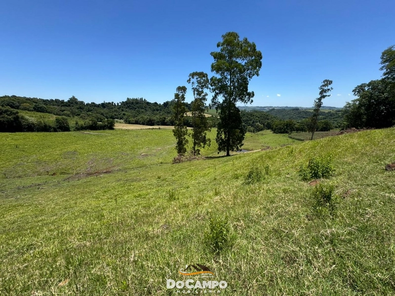 : 29ª foto da galeria de imagens do imóvel