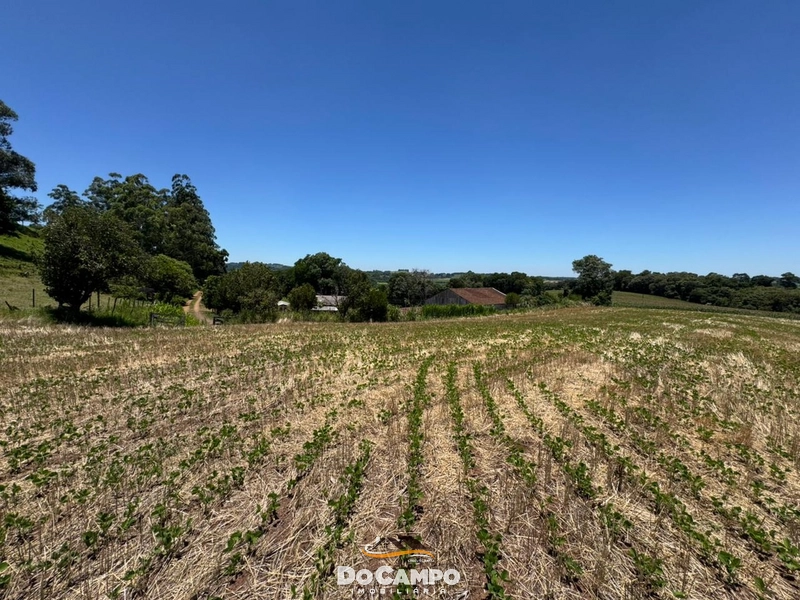 : 31ª foto da galeria de imagens do imóvel