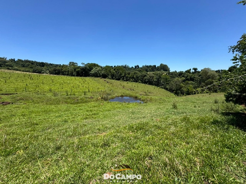 : 24ª foto da galeria de imagens do imóvel