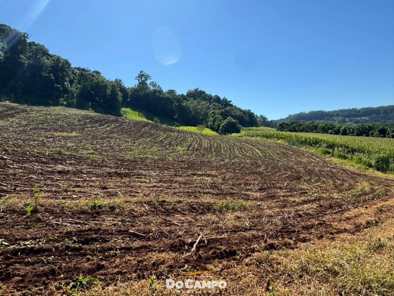 : 38ª foto da galeria de imagens do imóvel