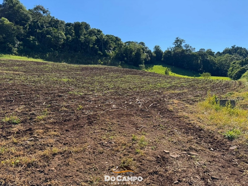 : 36ª foto da galeria de imagens do imóvel